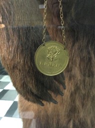 close up of gold medal hanging from taxidermy bear