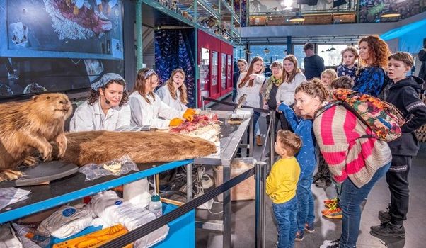 museum visitors gather around tables with animal specimens laid out